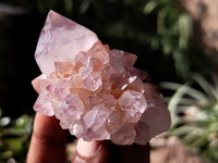 Natural Dark Amethyst Spirit Quartz Clusters x 12 From Boekenhouthoek, South Africa - Toprock Gemstones and Minerals 