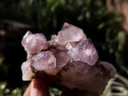 Natural Dark Amethyst Spirit Quartz Clusters x 12 From Boekenhouthoek, South Africa - Toprock Gemstones and Minerals 