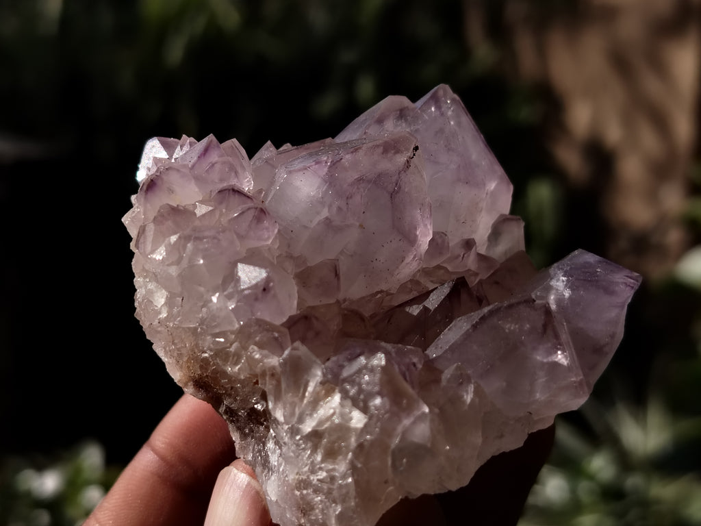 Natural Dark Amethyst Spirit Quartz Clusters x 12 From Boekenhouthoek, South Africa - Toprock Gemstones and Minerals 