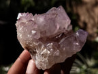 Natural Dark Amethyst Spirit Quartz Clusters x 12 From Boekenhouthoek, South Africa - Toprock Gemstones and Minerals 
