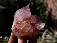 Natural Dark Amethyst Spirit Quartz Clusters x 12 From Boekenhouthoek, South Africa - Toprock Gemstones and Minerals 