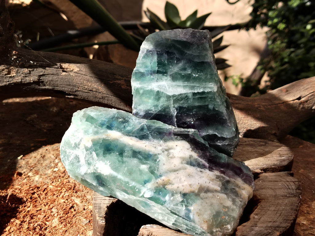 Polished On One Side Watermelon Fluorite Specimens x 3 From Uis, Namibia - Toprock Gemstones and Minerals 