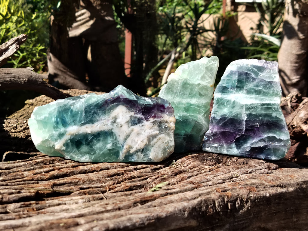 Polished On One Side Watermelon Fluorite Specimens x 3 From Uis, Namibia - Toprock Gemstones and Minerals 