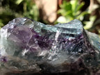 Polished On One Side Watermelon Fluorite Specimens x 3 From Uis, Namibia - Toprock Gemstones and Minerals 