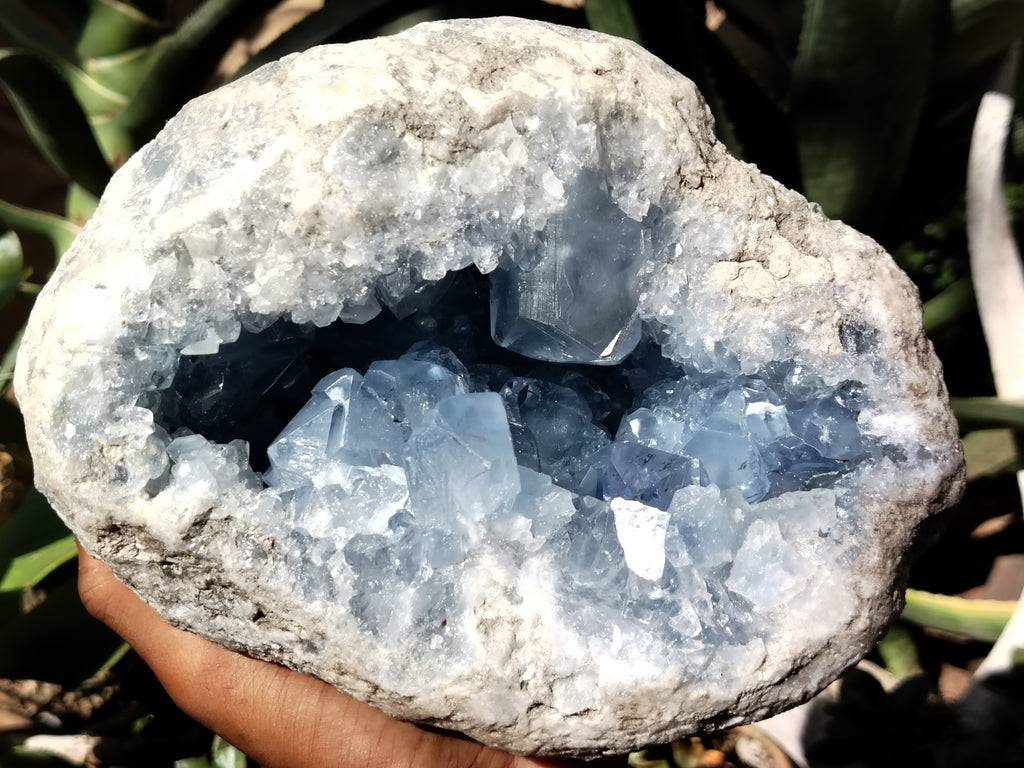 Natural Celestite Geode Specimens x 1 From Sakoany, Madagascar - Toprock Gemstones and Minerals 