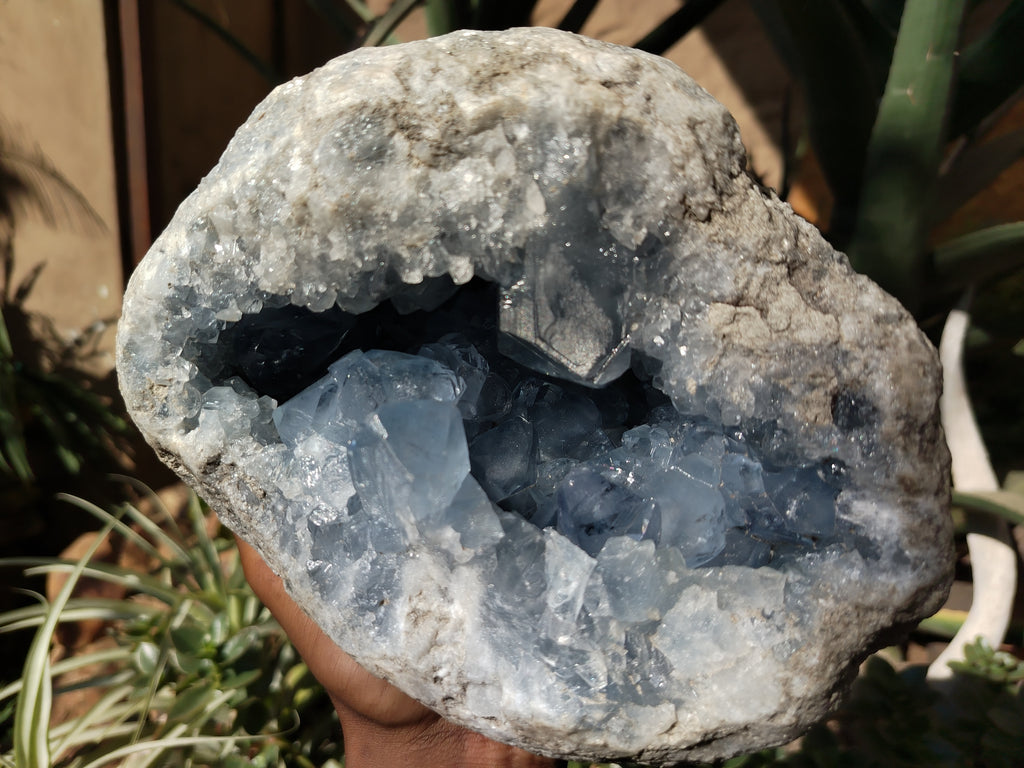 Natural Celestite Geode Specimens x 1 From Sakoany, Madagascar - Toprock Gemstones and Minerals 