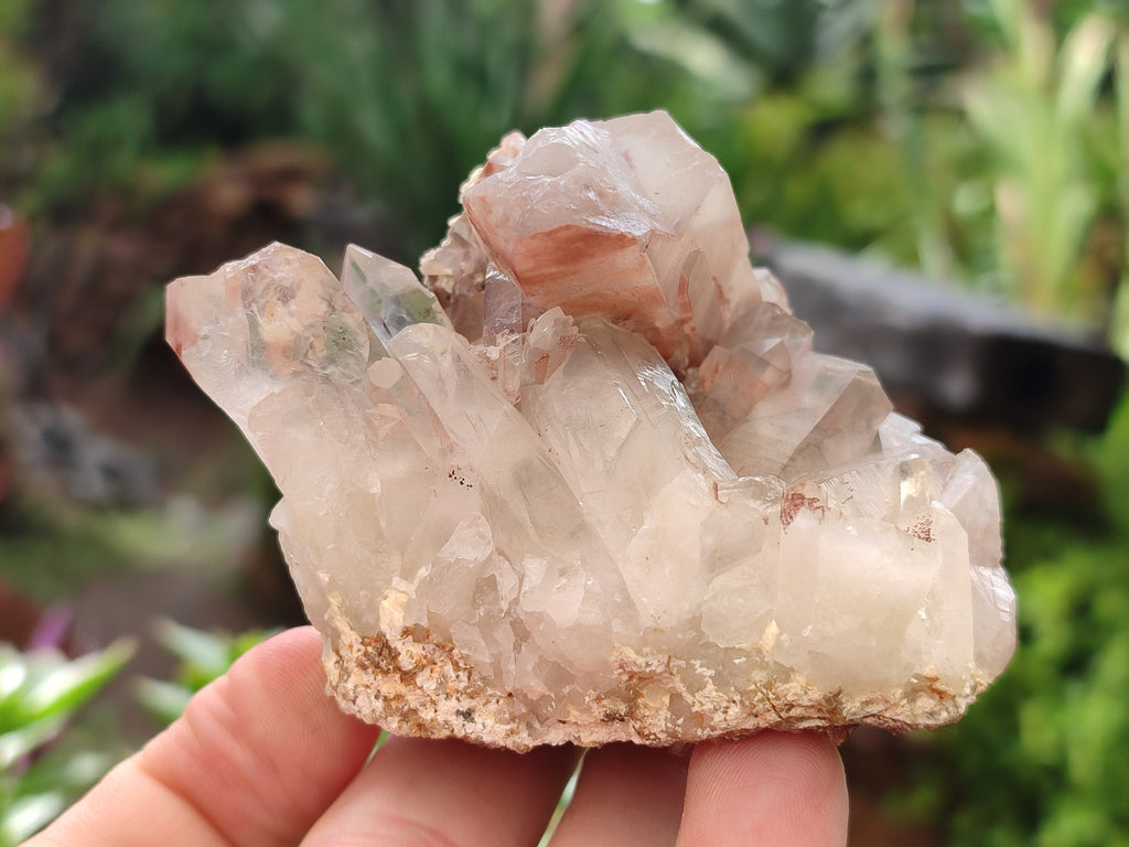 Natural Red Hematoid Quartz Clusters x 6 From Karoi, Zimbabwe - Toprock Gemstones and Minerals 