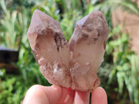Natural Red Hematoid Quartz Clusters x 6 From Karoi, Zimbabwe - Toprock Gemstones and Minerals 