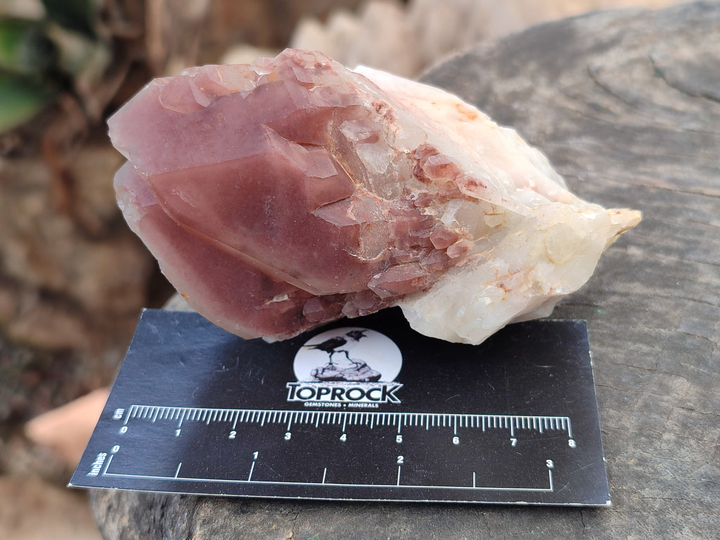 Natural Red Hematoid Quartz Clusters x 6 From Karoi, Zimbabwe - Toprock Gemstones and Minerals 