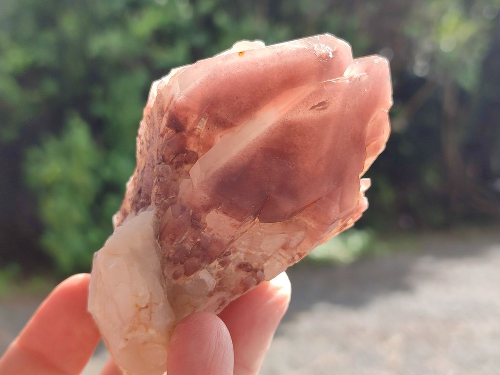 Natural Red Hematoid Quartz Clusters x 6 From Karoi, Zimbabwe - Toprock Gemstones and Minerals 