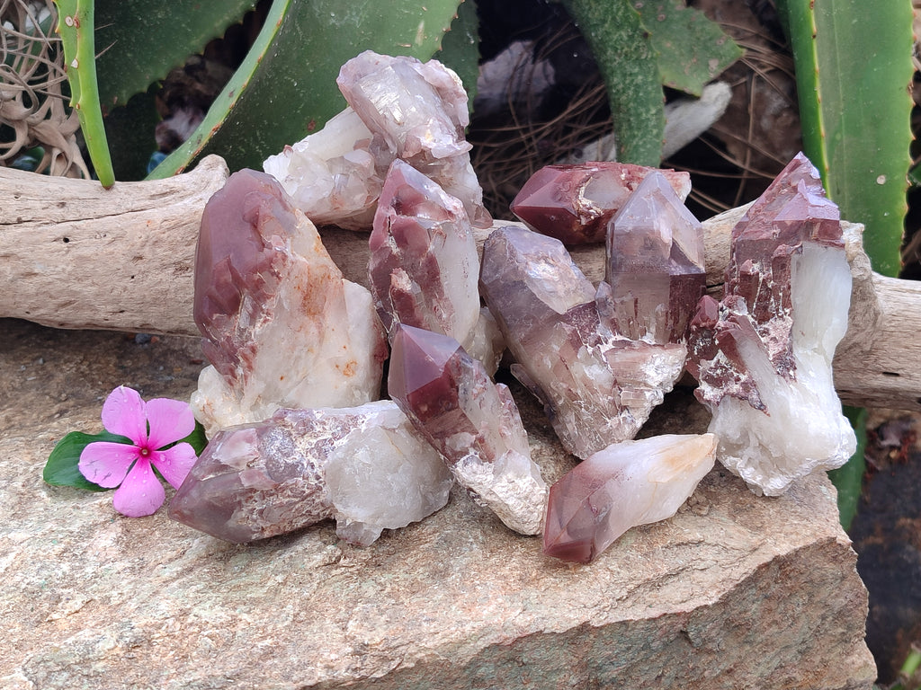 Natural Red Hematoid Quartz Clusters x 6 From Karoi, Zimbabwe - Toprock Gemstones and Minerals 