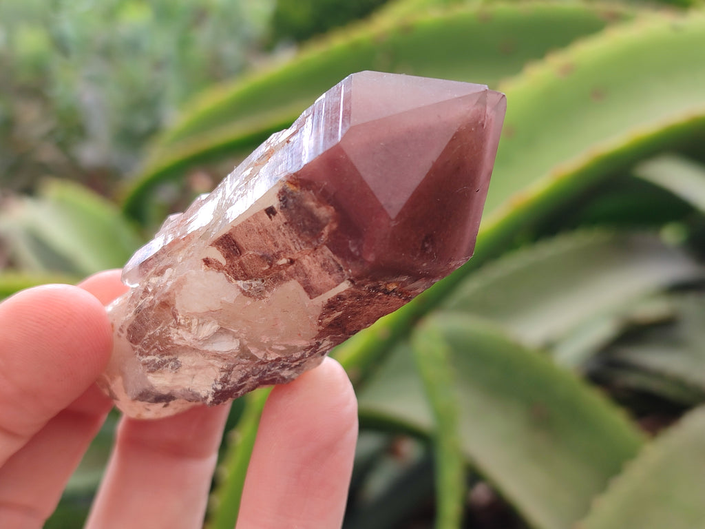 Natural Red Hematoid Quartz Clusters x 6 From Karoi, Zimbabwe - Toprock Gemstones and Minerals 