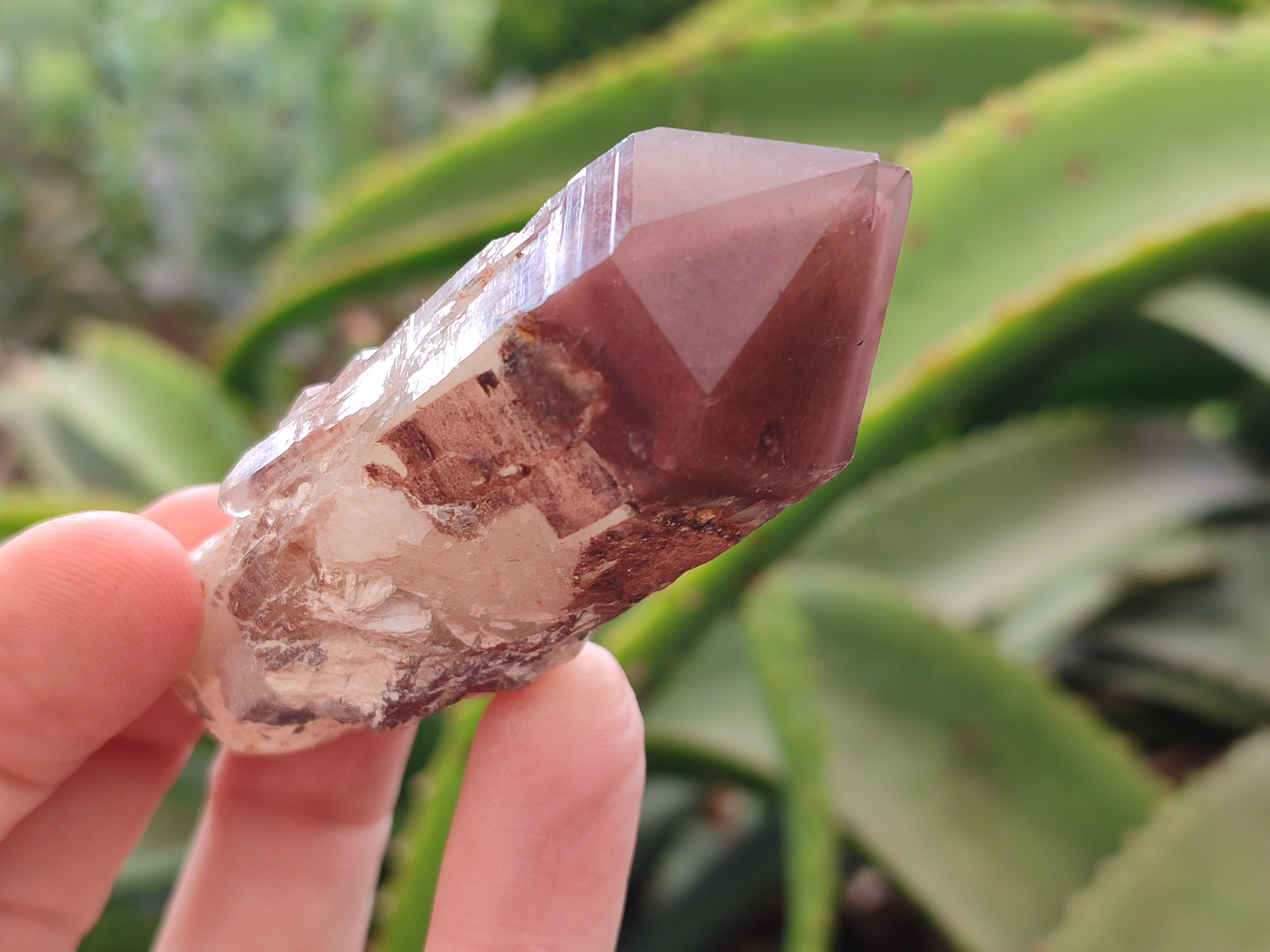 Natural Red Hematoid Quartz Clusters x 6 From Karoi, Zimbabwe - Toprock Gemstones and Minerals 