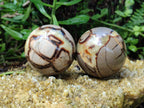 Polished Septerye Spheres x 4 From Mahajanga, Madagascar - Toprock Gemstones and Minerals 