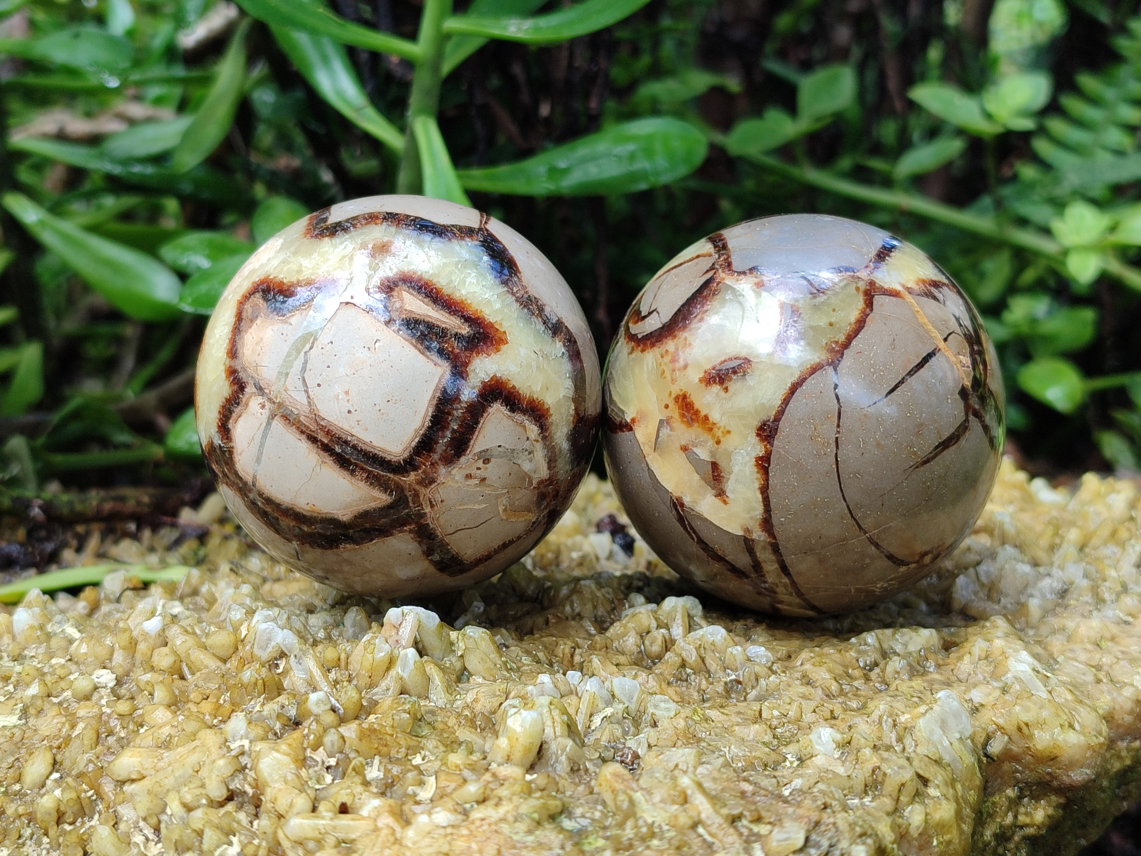 Polished Septerye Spheres x 4 From Mahajanga, Madagascar - Toprock Gemstones and Minerals 
