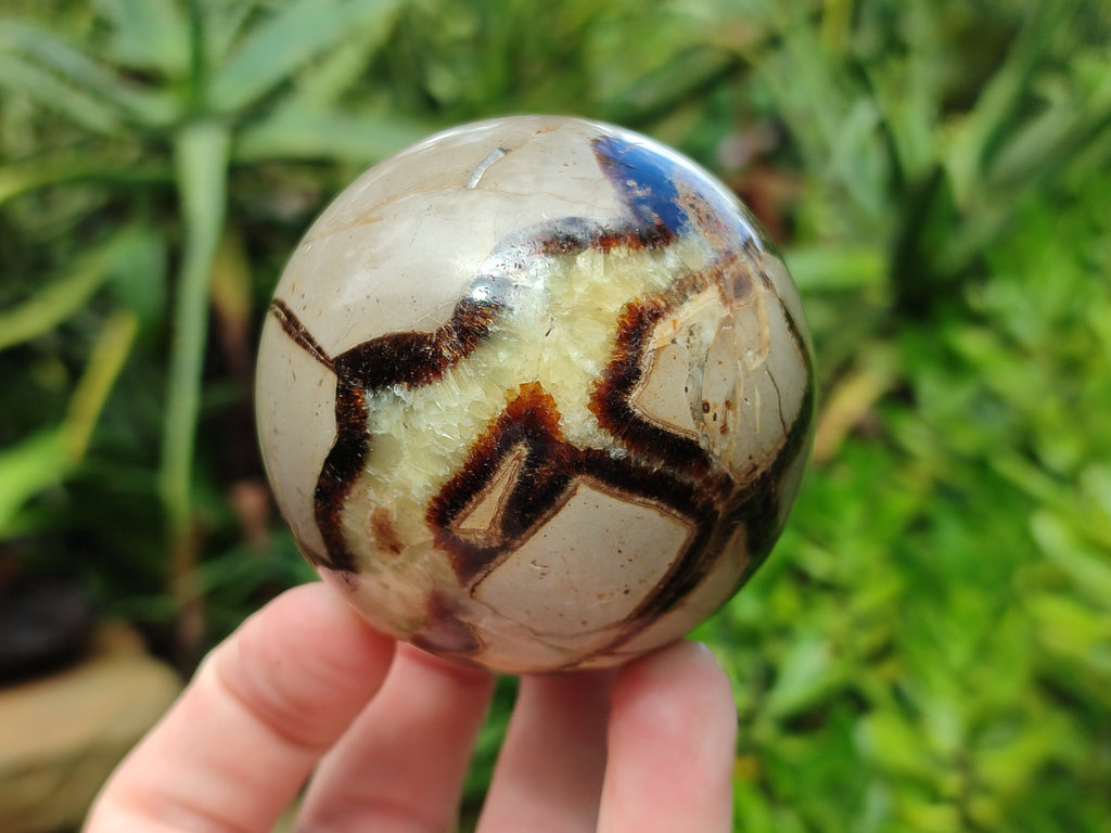 Polished Septerye Spheres x 4 From Mahajanga, Madagascar - Toprock Gemstones and Minerals 