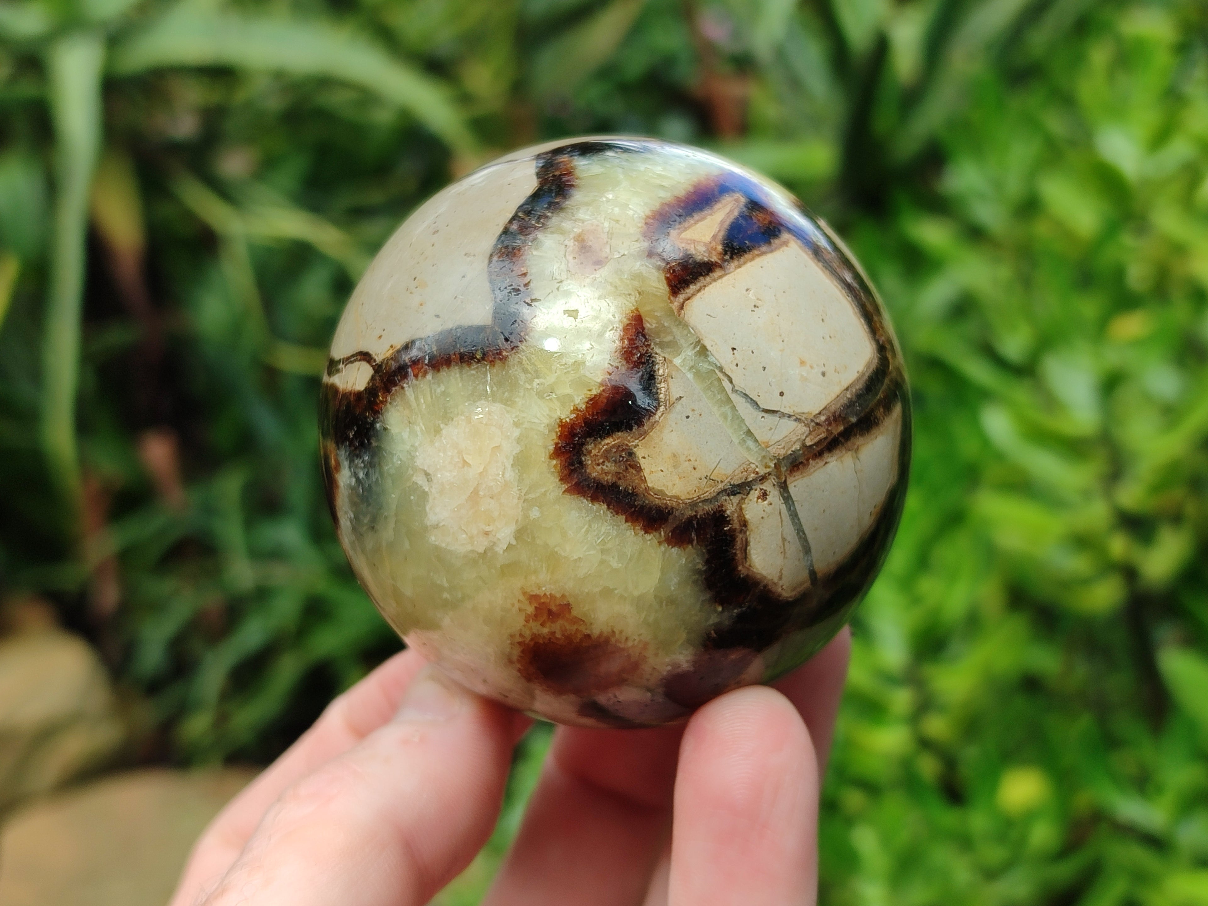 Polished Septerye Spheres x 4 From Mahajanga, Madagascar - Toprock Gemstones and Minerals 