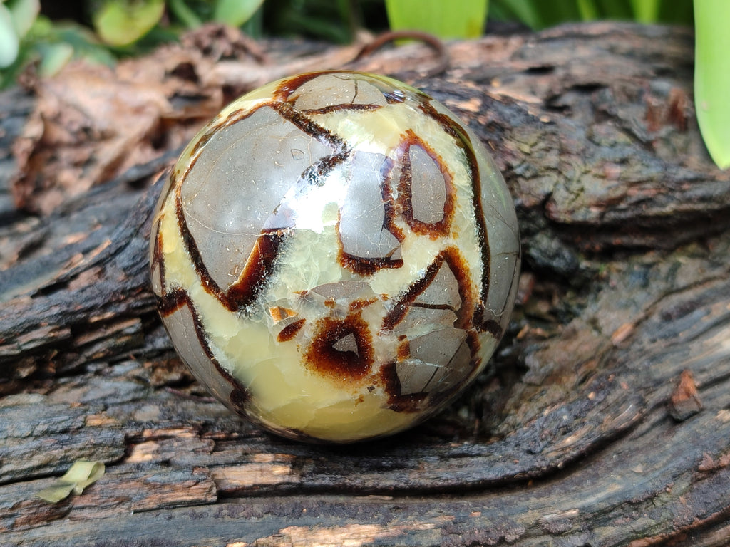 Polished Septerye Spheres x 4 From Mahajanga, Madagascar - Toprock Gemstones and Minerals 