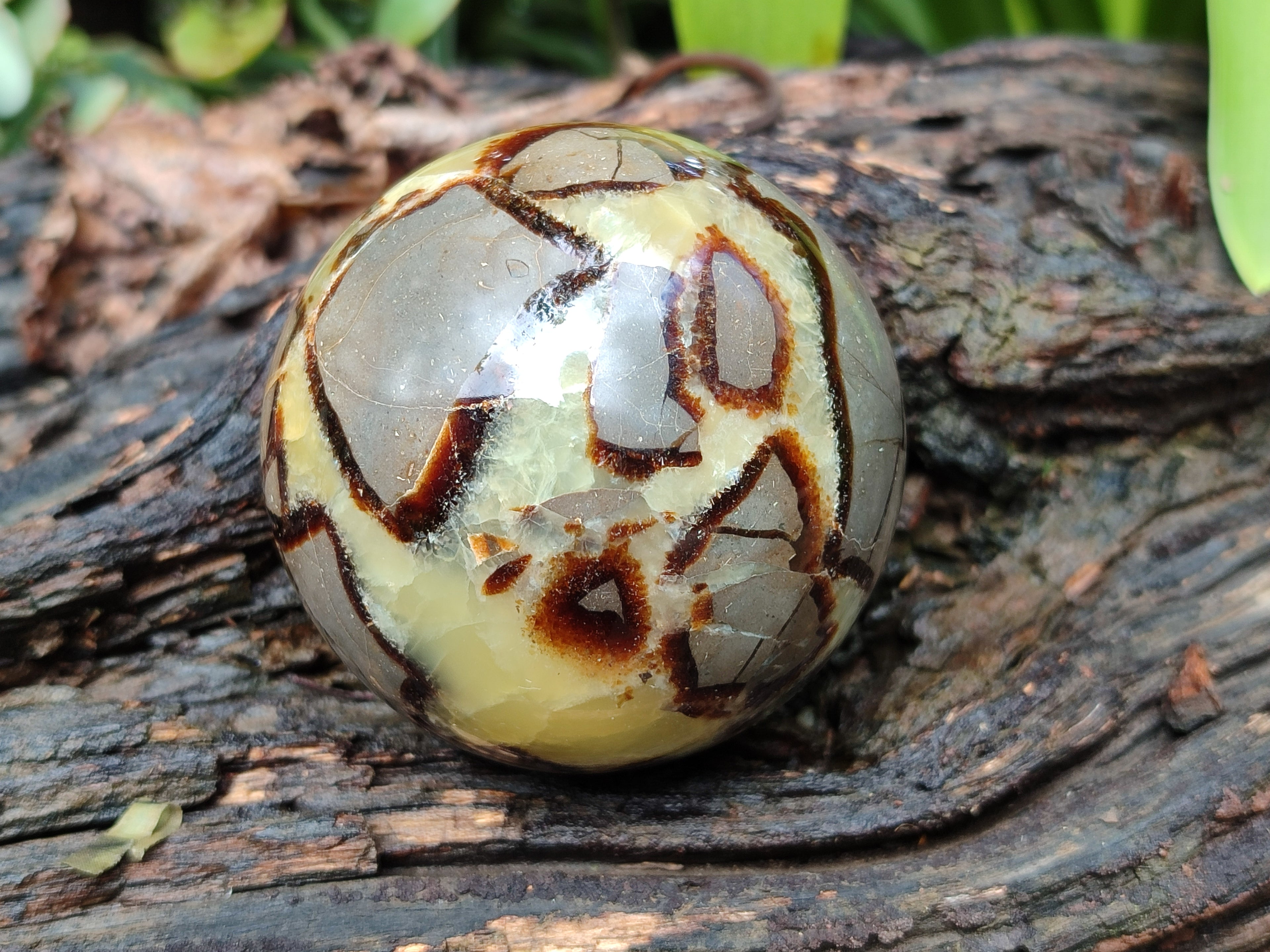 Polished Septerye Spheres x 4 From Mahajanga, Madagascar - Toprock Gemstones and Minerals 
