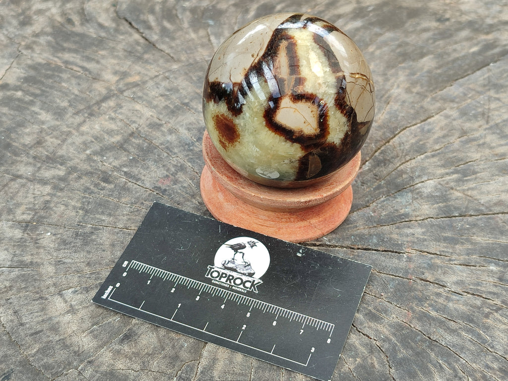 Polished Septerye Spheres x 4 From Mahajanga, Madagascar - Toprock Gemstones and Minerals 