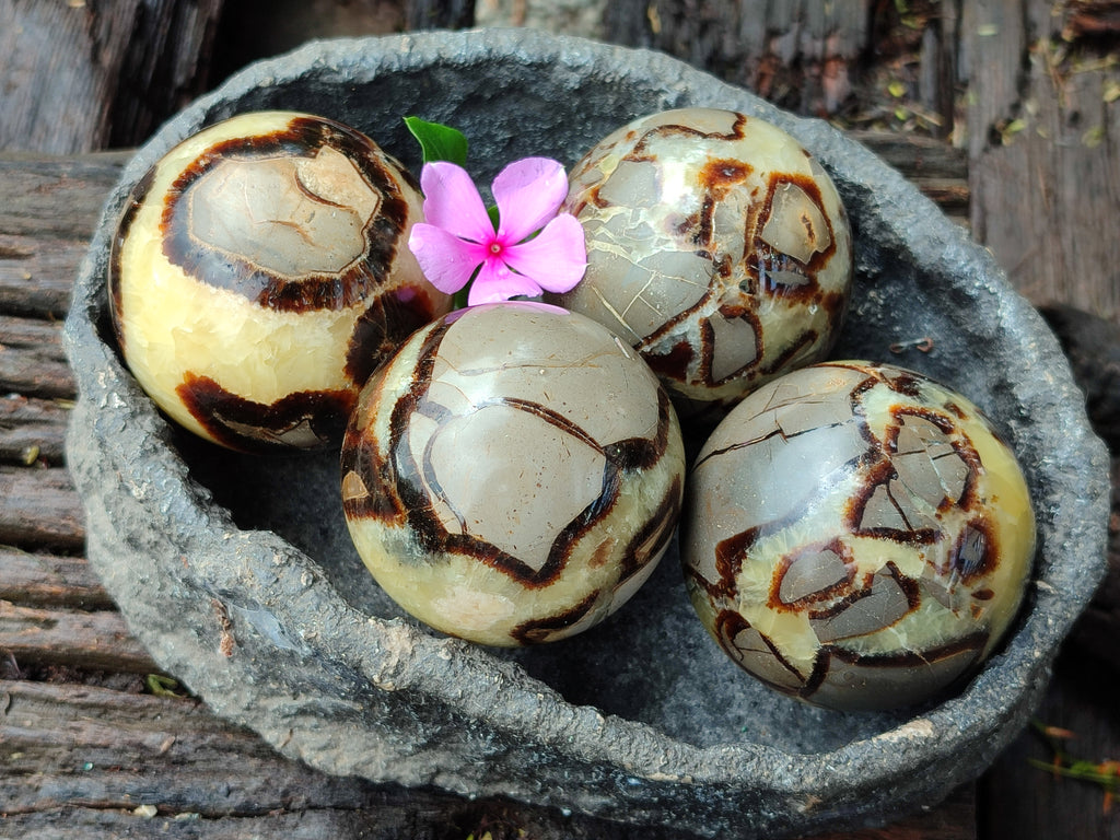 Polished Septerye Spheres x 4 From Mahajanga, Madagascar - Toprock Gemstones and Minerals 
