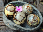Polished Septerye Spheres x 4 From Mahajanga, Madagascar - Toprock Gemstones and Minerals 