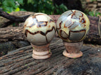 Polished Septerye Spheres x 4 From Mahajanga, Madagascar - Toprock Gemstones and Minerals 