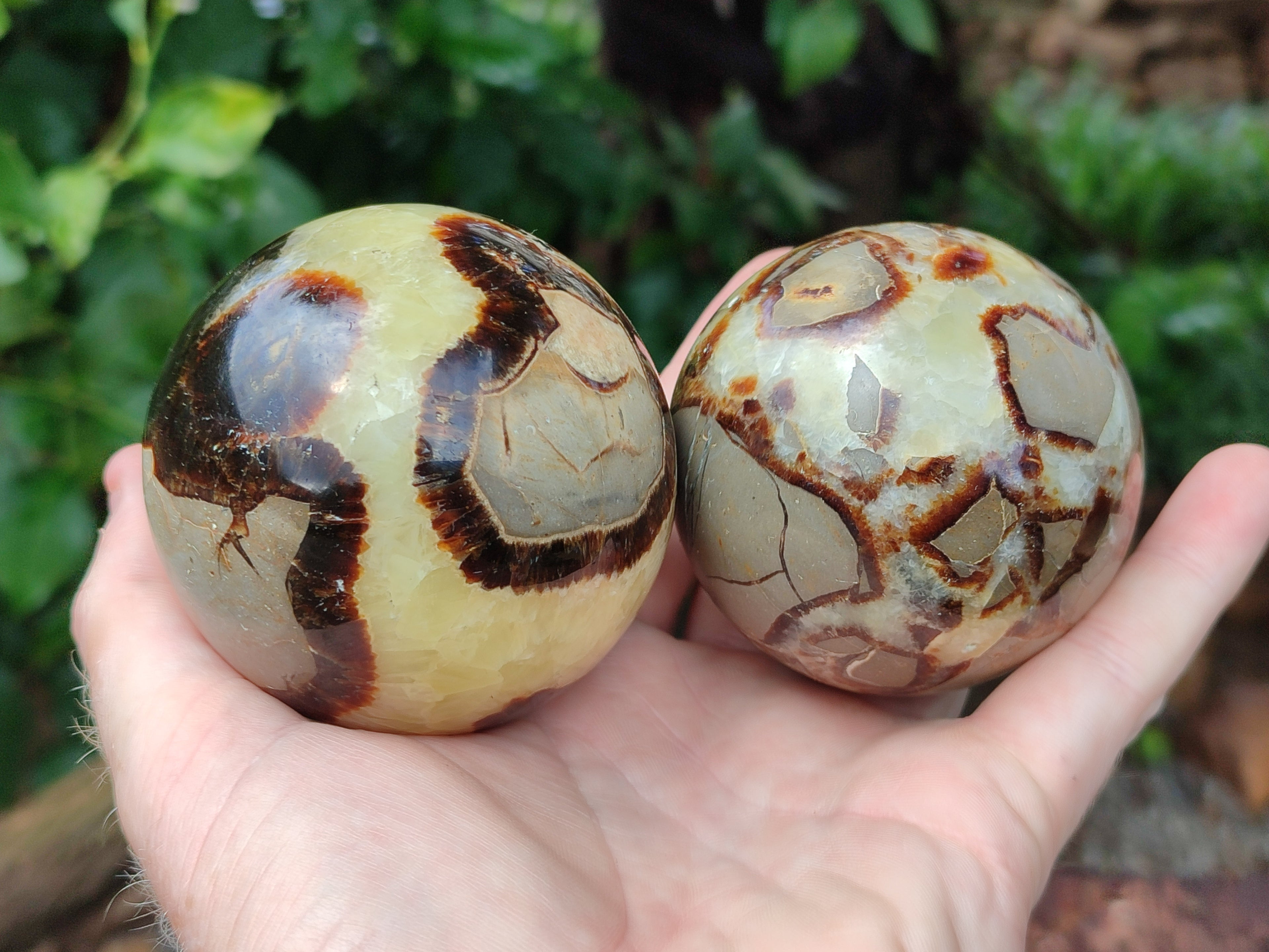 Polished Septerye Spheres x 4 From Mahajanga, Madagascar - Toprock Gemstones and Minerals 