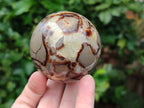 Polished Septerye Spheres x 4 From Mahajanga, Madagascar - Toprock Gemstones and Minerals 