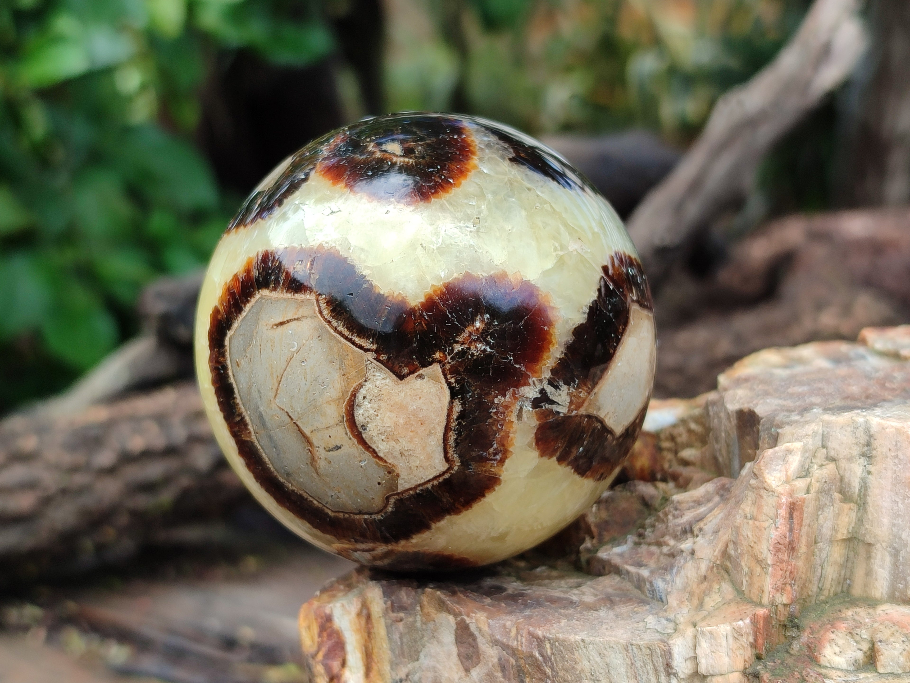 Polished Septerye Spheres x 4 From Mahajanga, Madagascar - Toprock Gemstones and Minerals 