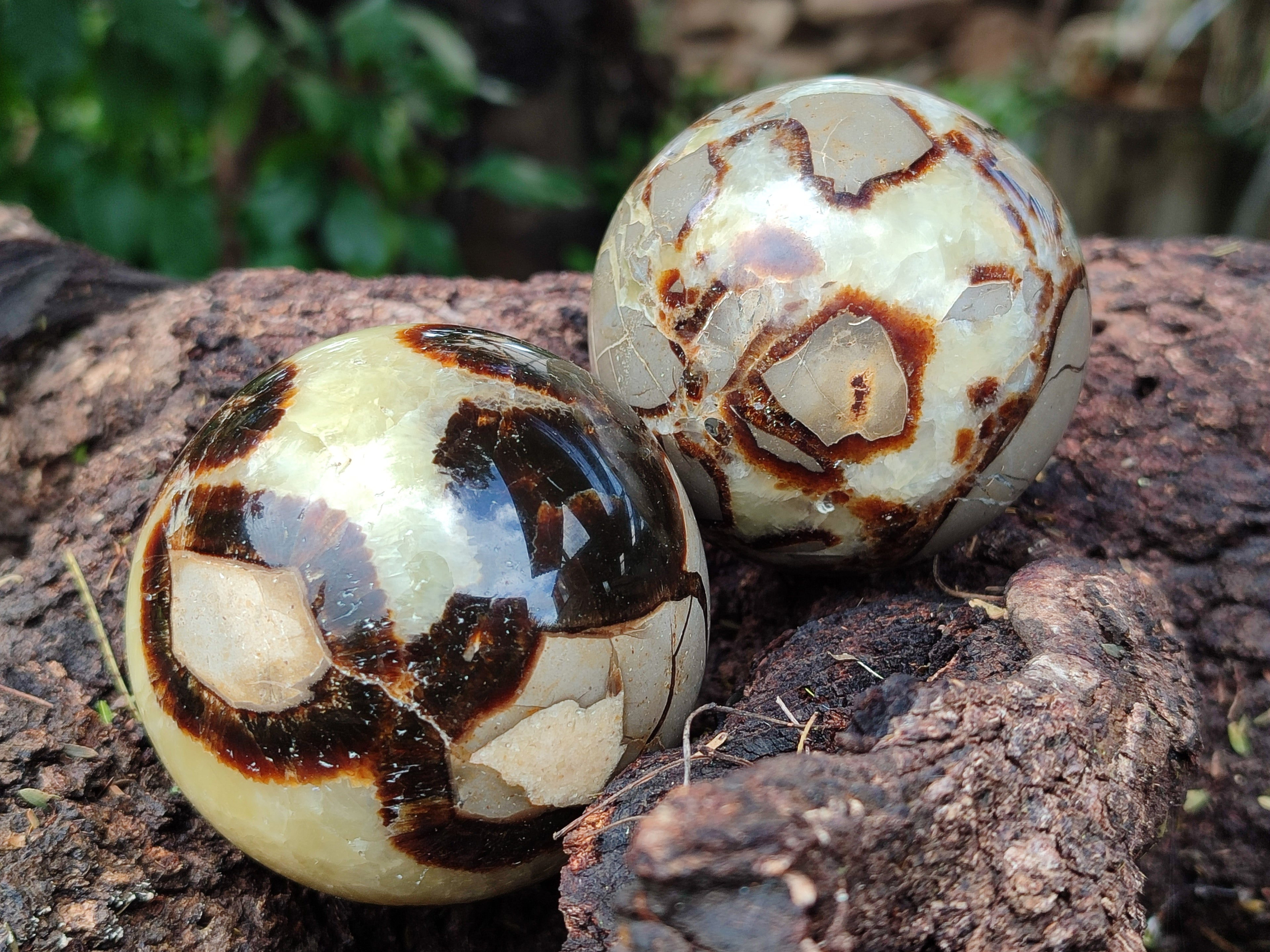 Polished Septerye Spheres x 4 From Mahajanga, Madagascar - Toprock Gemstones and Minerals 