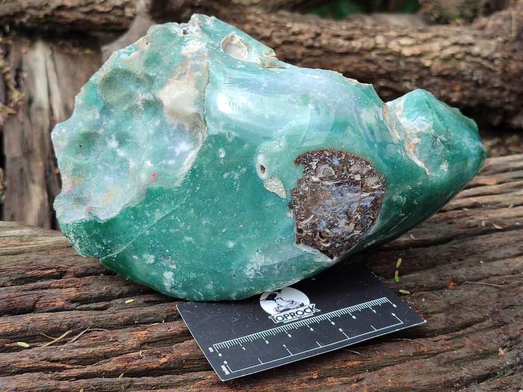 Polished Emerald Mtorolite Free Forms x 2 From Zimbabwe - Toprock Gemstones and Minerals 