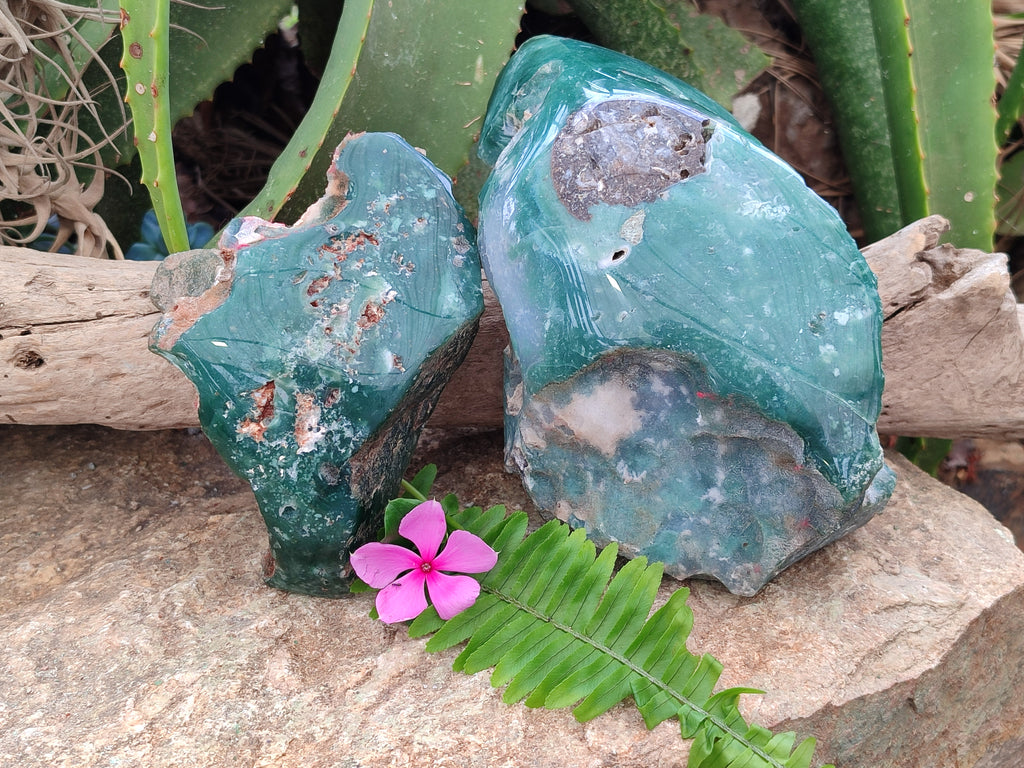 Polished Emerald Mtorolite Free Forms x 2 From Zimbabwe - Toprock Gemstones and Minerals 