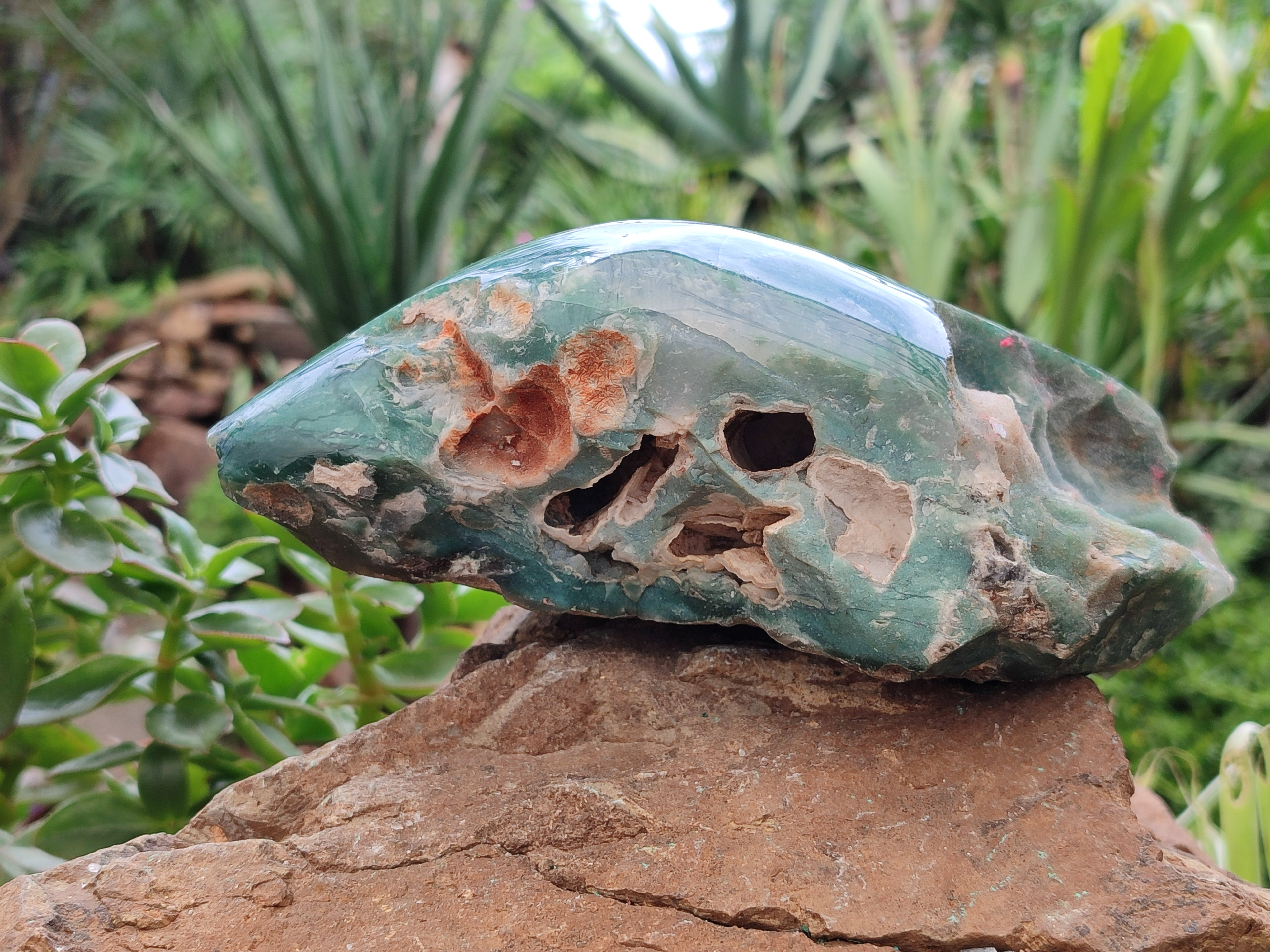 Polished Emerald Mtorolite Free Forms x 2 From Zimbabwe - Toprock Gemstones and Minerals 