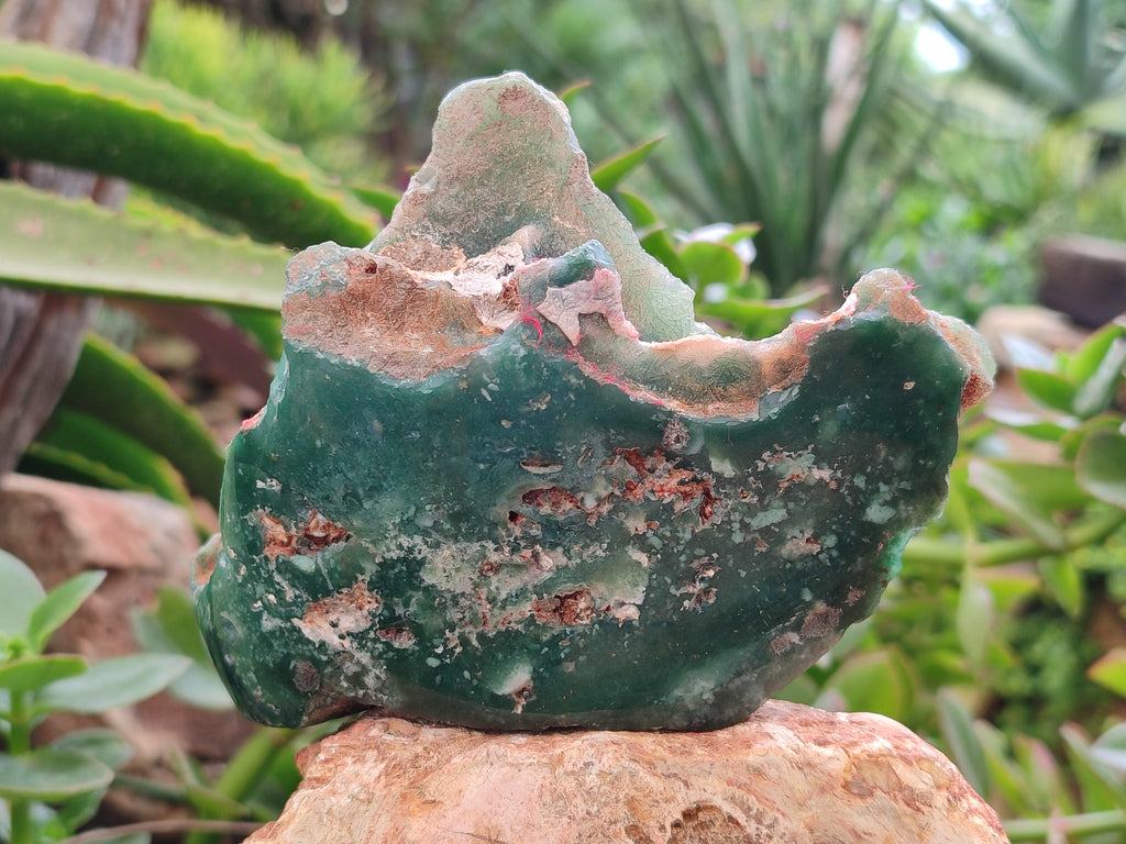 Polished Emerald Mtorolite Free Forms x 2 From Zimbabwe - Toprock Gemstones and Minerals 