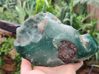 Polished Emerald Mtorolite Free Forms x 2 From Zimbabwe - Toprock Gemstones and Minerals 