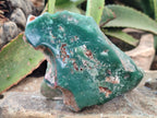 Polished Emerald Mtorolite Free Forms x 2 From Zimbabwe - Toprock Gemstones and Minerals 