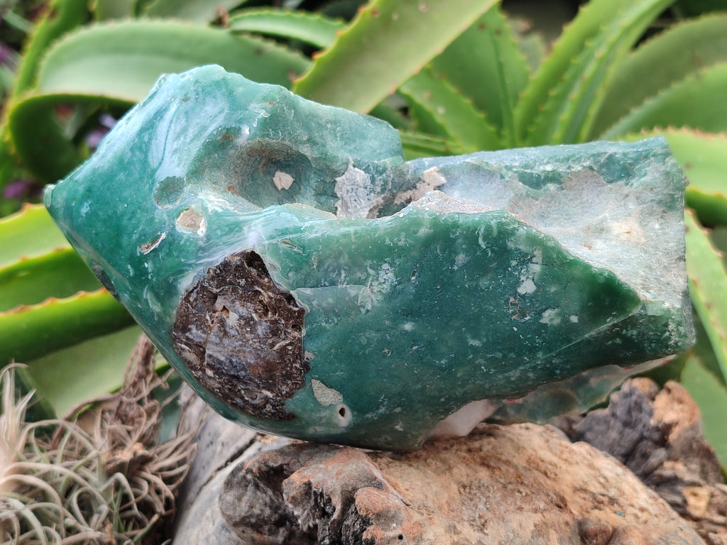 Polished Emerald Mtorolite Free Forms x 2 From Zimbabwe - Toprock Gemstones and Minerals 