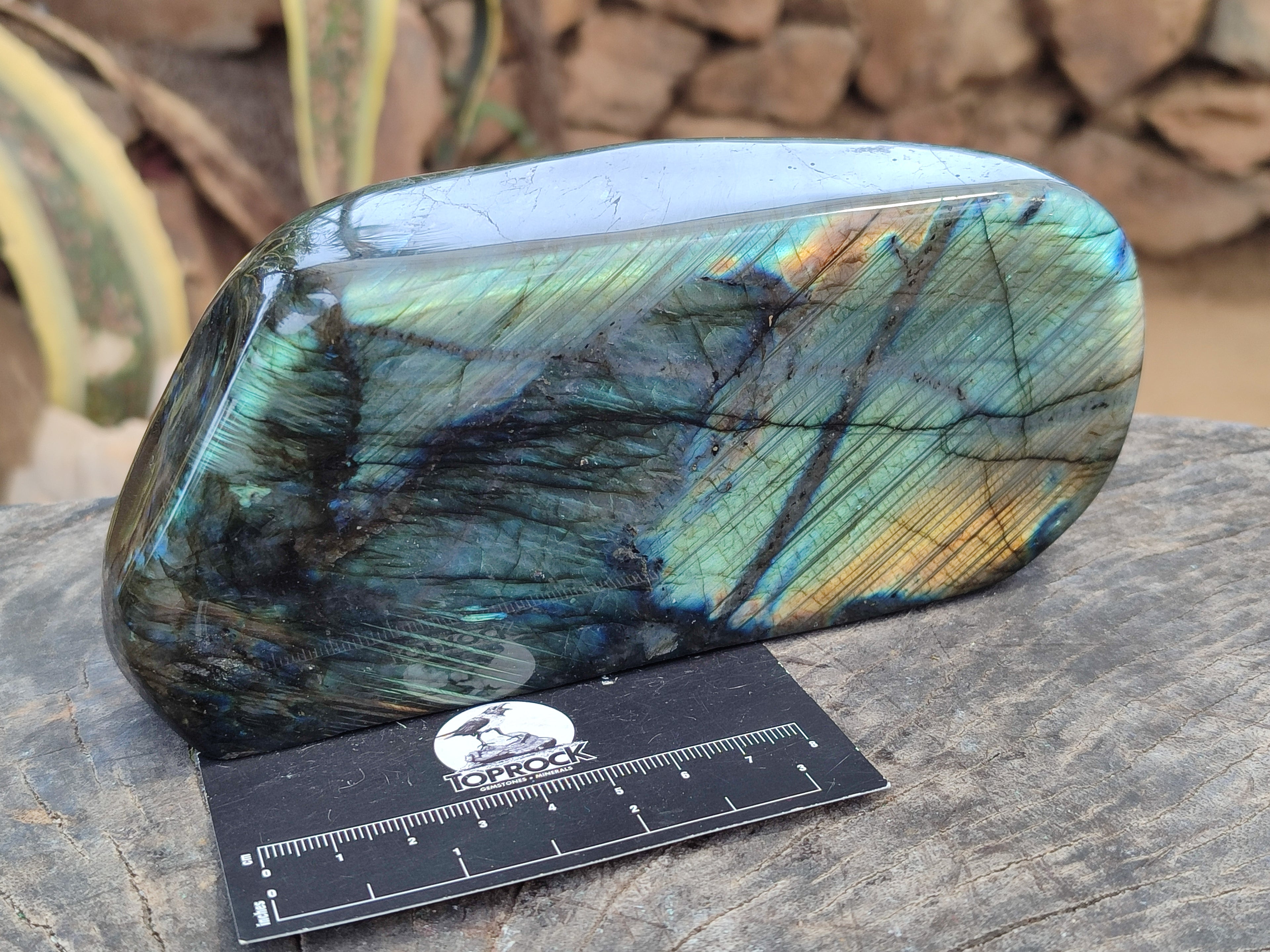 Polished Labradorite Standing Free Form x 1 From Tulear, Madagascar - Toprock Gemstones and Minerals 