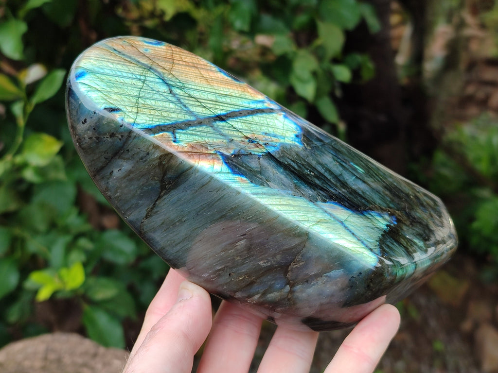 Polished Labradorite Standing Free Form x 1 From Tulear, Madagascar - Toprock Gemstones and Minerals 