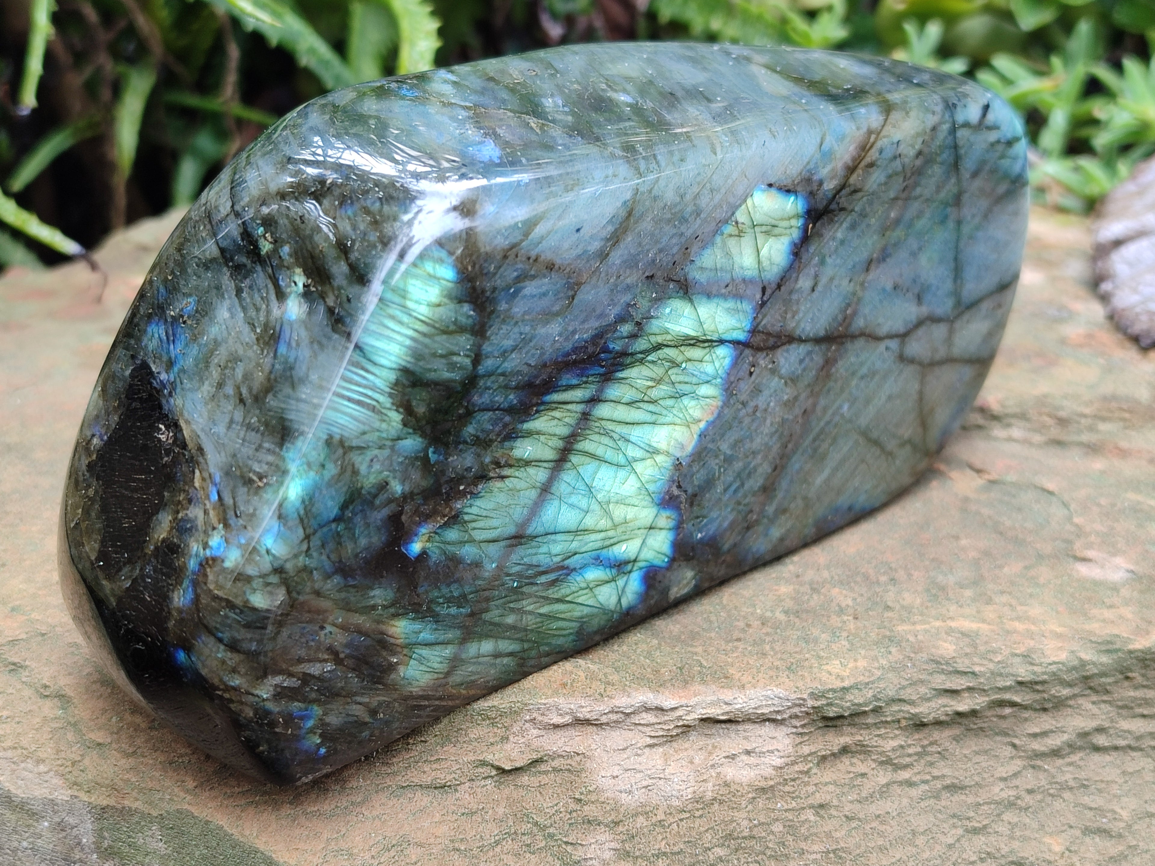 Polished Labradorite Standing Free Form x 1 From Tulear, Madagascar - Toprock Gemstones and Minerals 