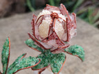 Hand Made Gemstone Double Protea Flower Trees x 3 From South Africa - Toprock Gemstones and Minerals 
