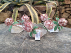 Hand Made Gemstone Double Protea Flower Trees x 3 From South Africa - Toprock Gemstones and Minerals 