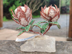 Hand Made Gemstone Double Protea Flower Trees x 3 From South Africa - Toprock Gemstones and Minerals 