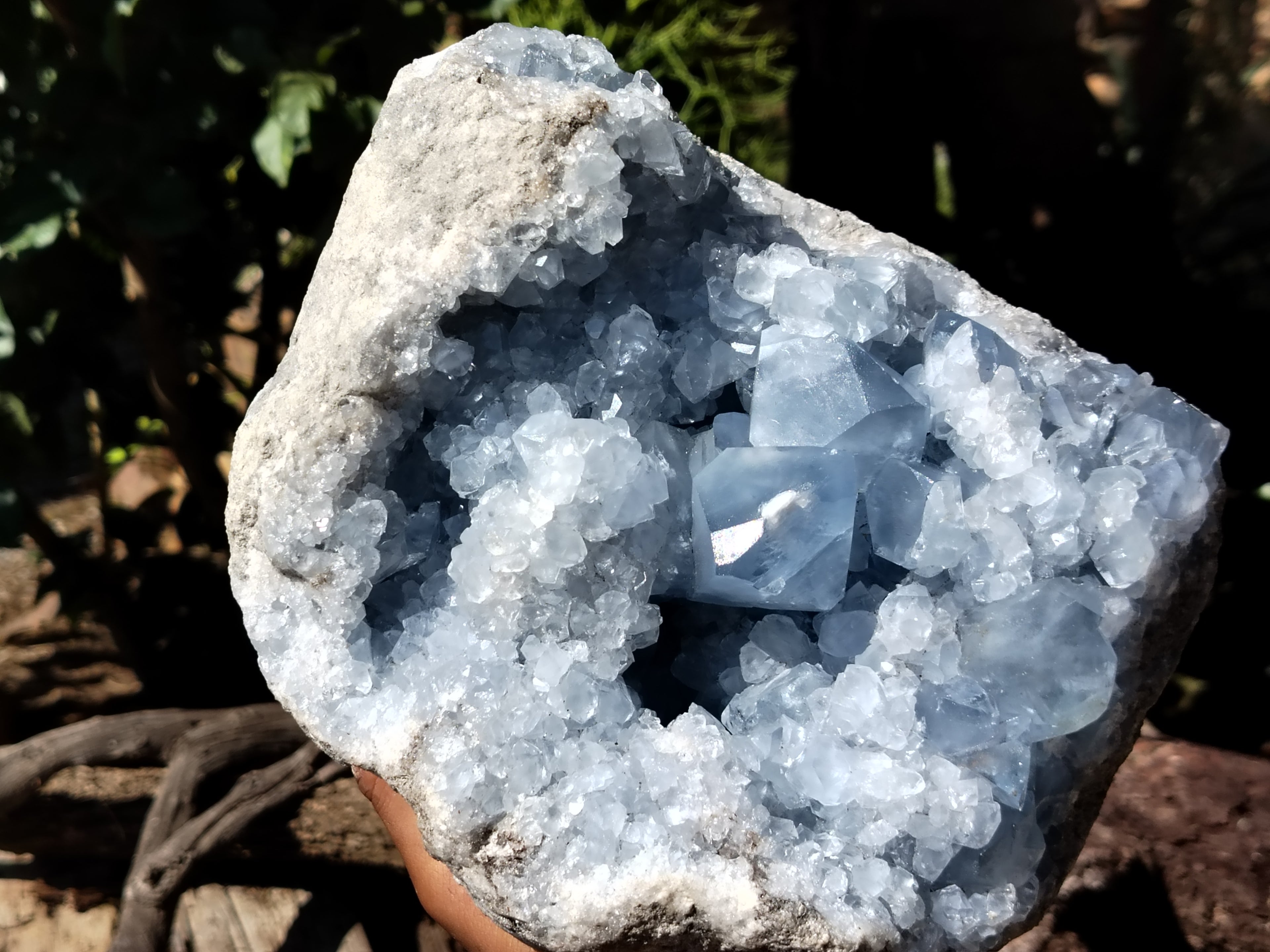 Natural Celestite Geode Specimens x 1 From Sakoany, Madagascar - Toprock Gemstones and Minerals 