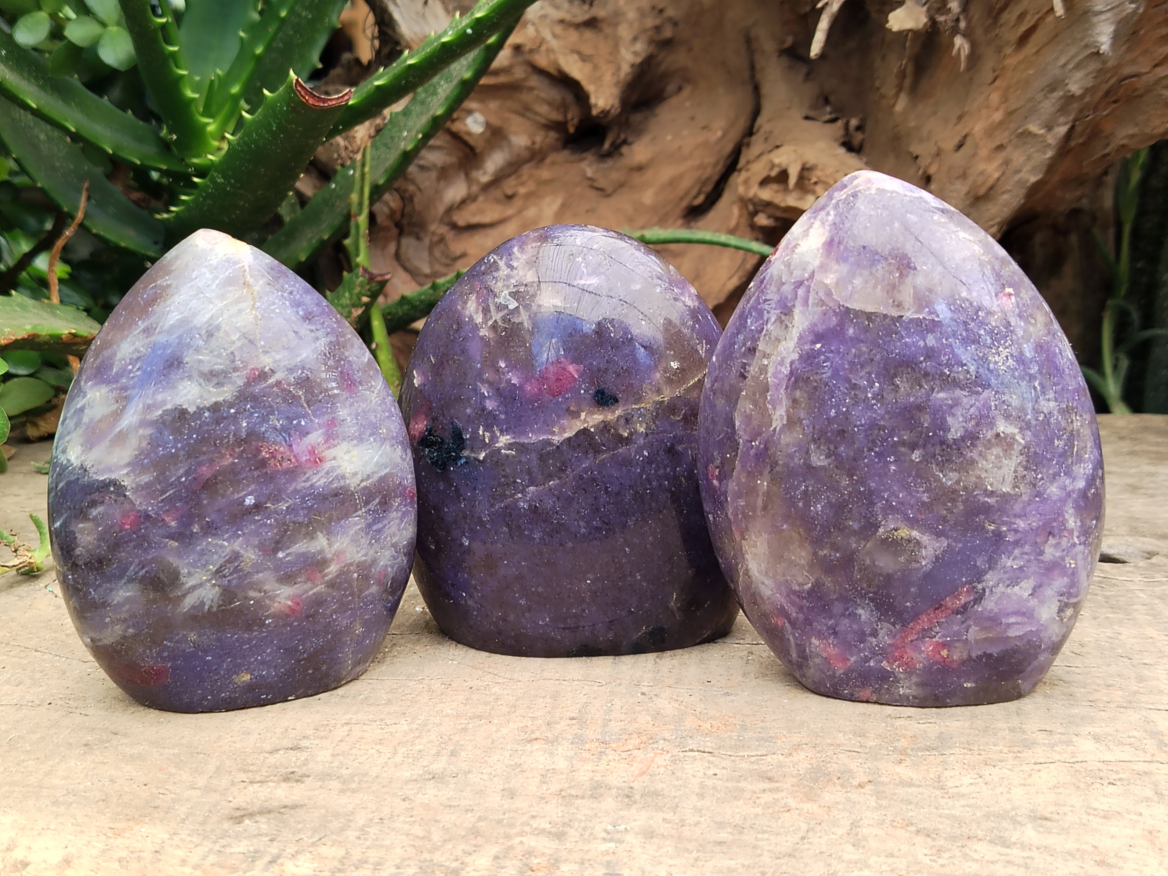 Polished Lepidolite with Pink Rubellite Standing Free Forms x 3 From Madagascar - Toprock Gemstones and Minerals 