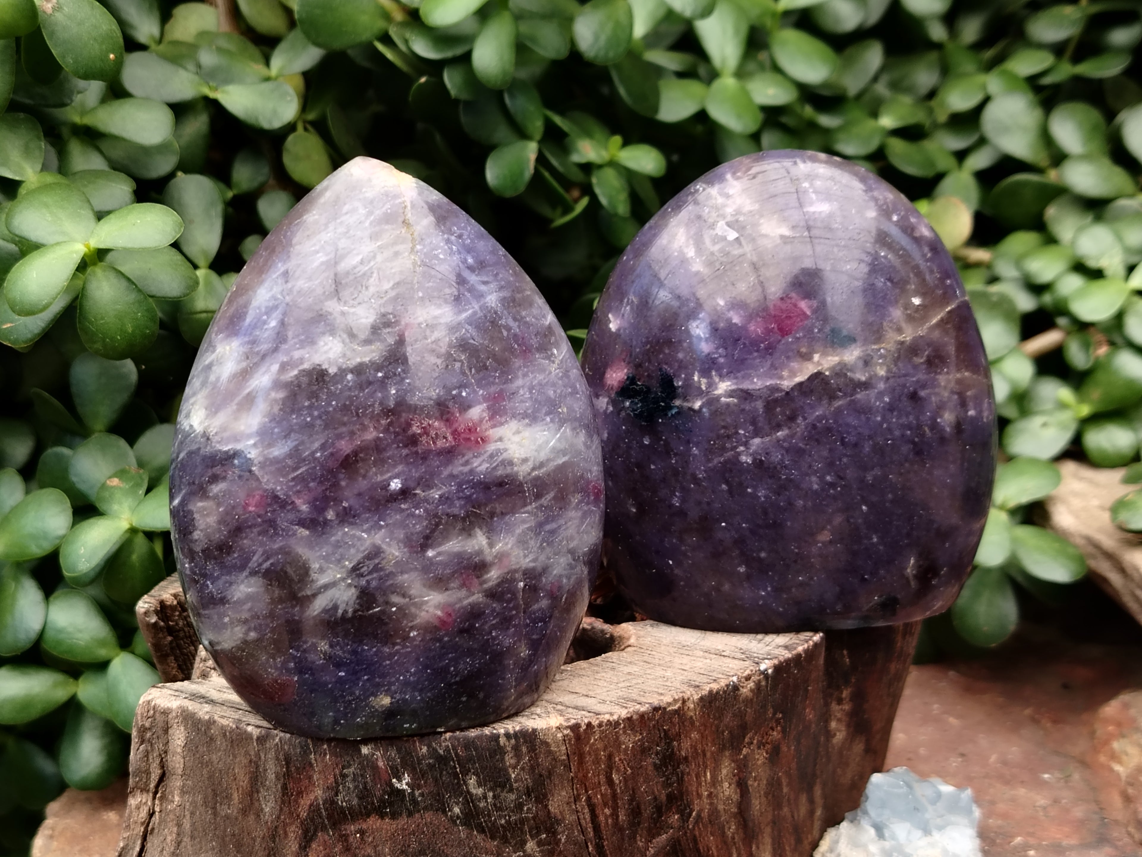Polished Lepidolite with Pink Rubellite Standing Free Forms x 3 From Madagascar - Toprock Gemstones and Minerals 