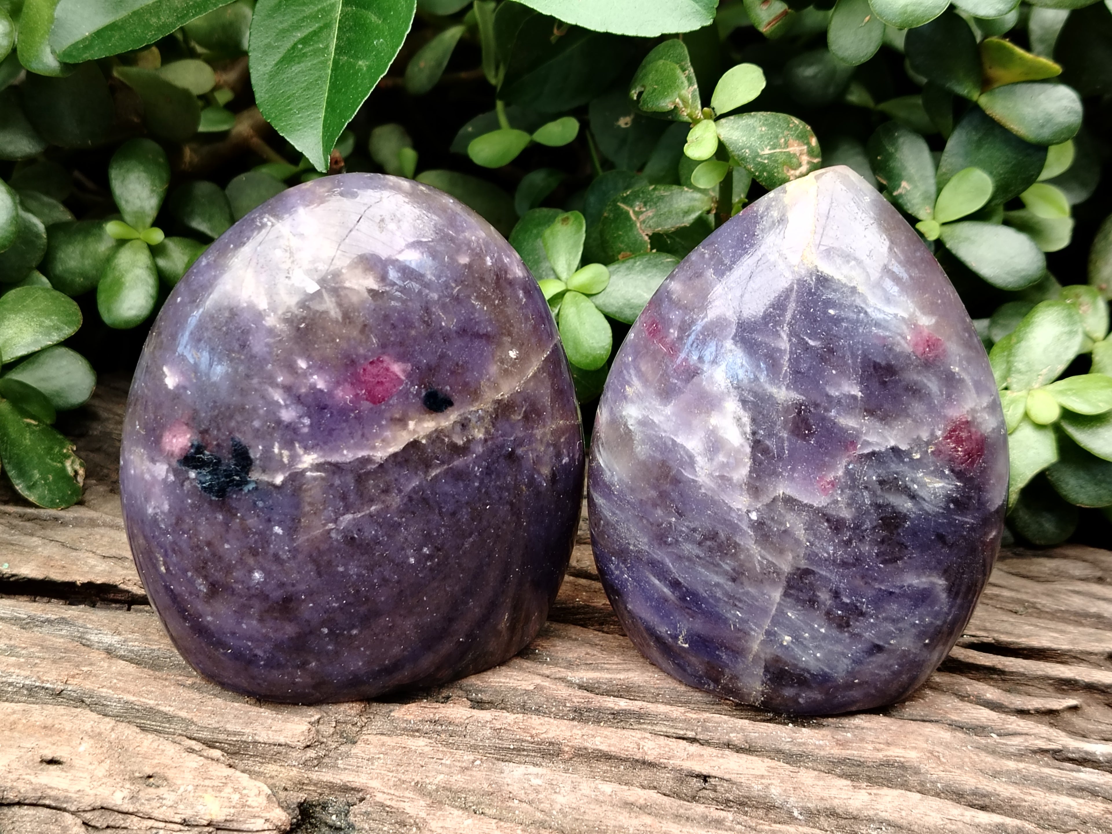 Polished Lepidolite with Pink Rubellite Standing Free Forms x 3 From Madagascar - Toprock Gemstones and Minerals 