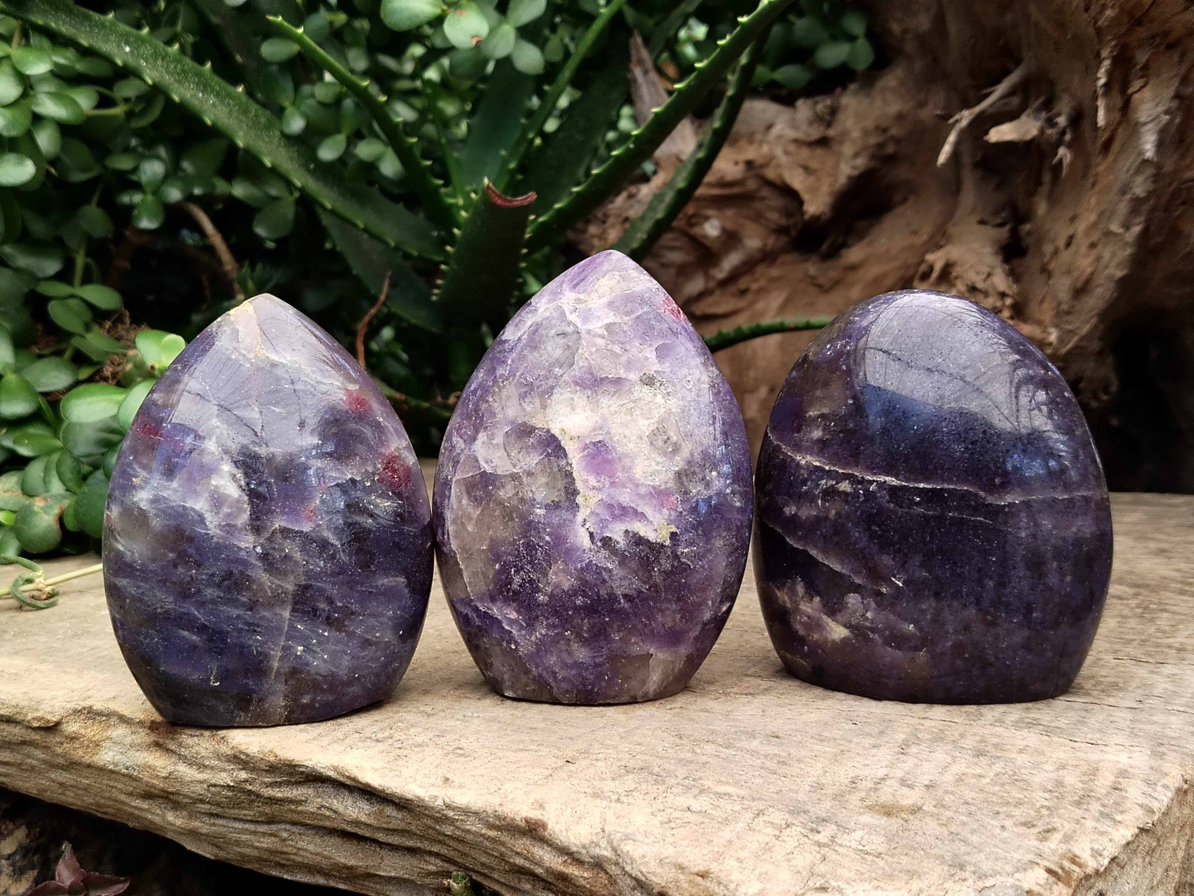 Polished Lepidolite with Pink Rubellite Standing Free Forms x 3 From Madagascar - Toprock Gemstones and Minerals 