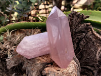 Polished Double Terminated Rose Quartz Points x 6 From Ambatondrazaka, Madagascar